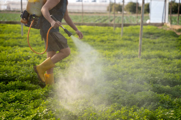 Best Emergency Pest Control  in Wyldwood, TX