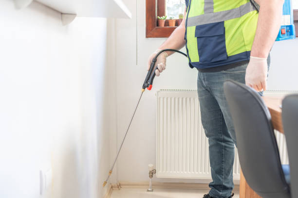Best Wasp Removal Services  in Wyldwood, TX
